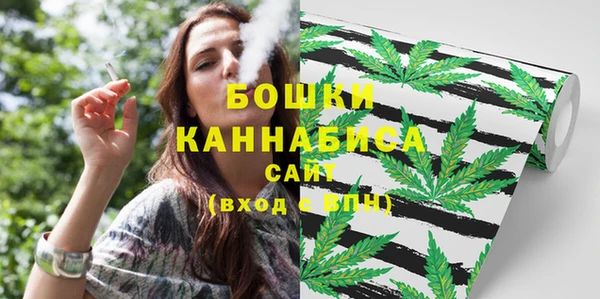 молекула духа Касимов