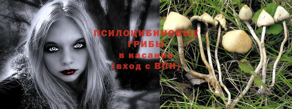 spice Карталы