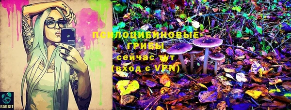 apvp Карпинск