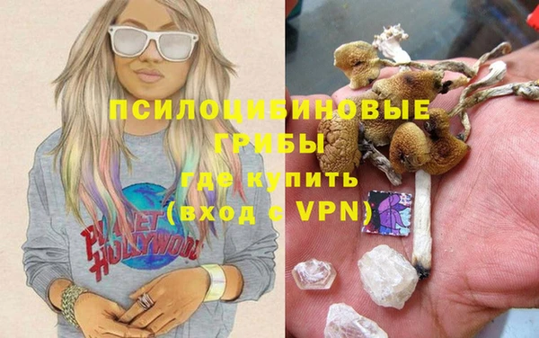 spice Карталы