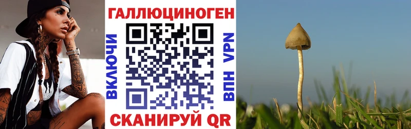 Купить закладки  Остров  Псилоцибиновые грибы MAGIC MUSHROOMS 